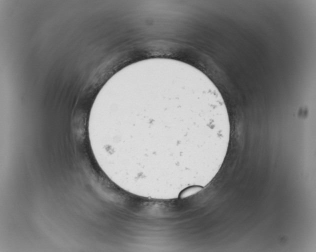 X0000112840074200910021117