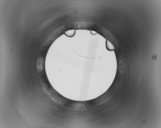 X0000112840075200910021117