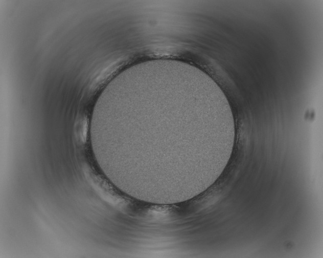 X0000112840076200910021117