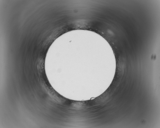 X0000112840079200910021117