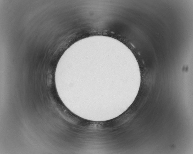 X0000112840080200910021117