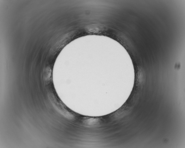 X0000112840081200910021117