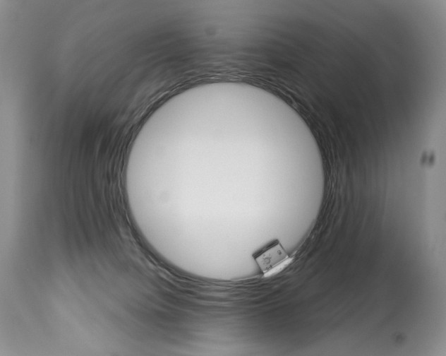 X0000112840084200910021117