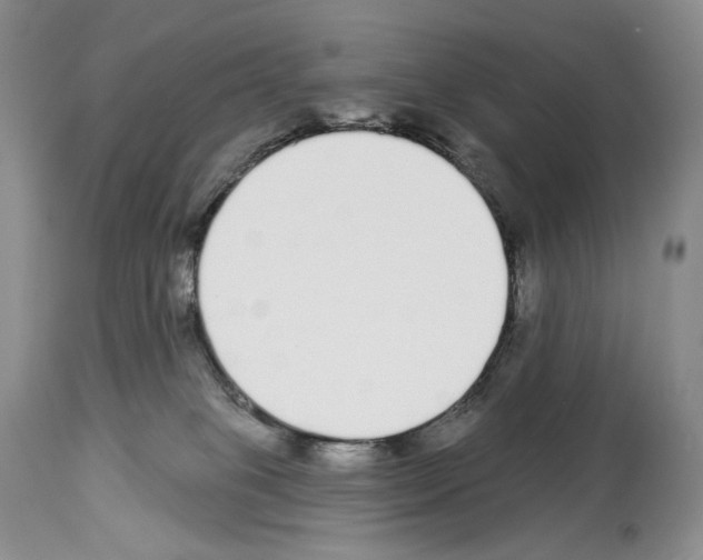 X0000112840085200910021117