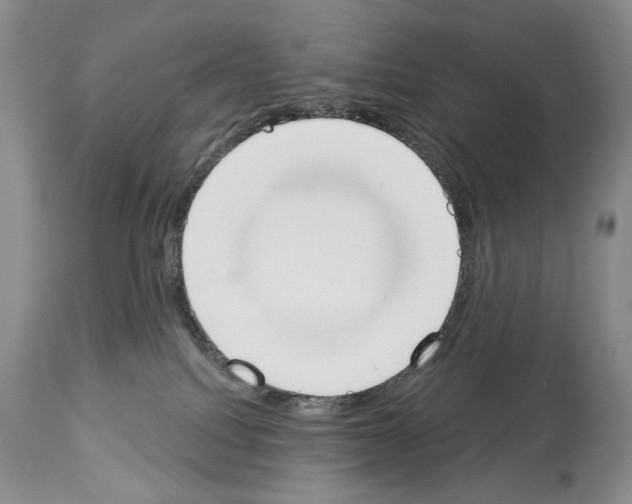 X0000112840088200910021117