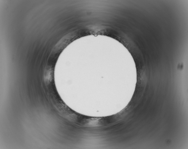 X0000112840090200910021117