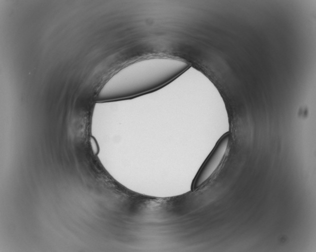 X0000112840092200910021117