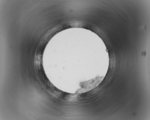 X0000112840093200910021117