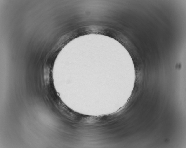 X0000112840094200910021117