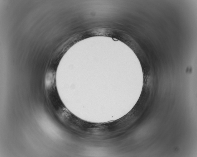 X0000112840095200910021117