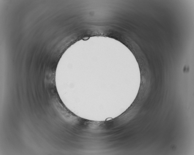 X0000112840096200910021117