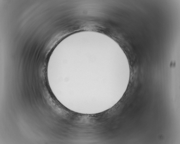 X0000112840098200910021116