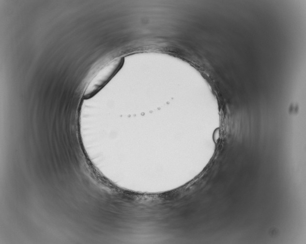 X0000112840099200910021116