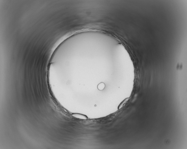 X0000112840100200910021116