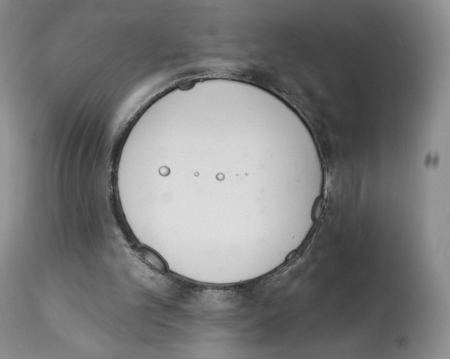 X0000112840101200910021116