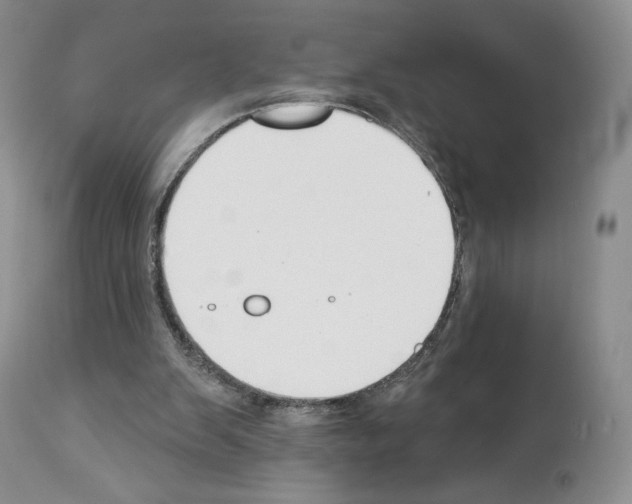 X0000112840103200910021116