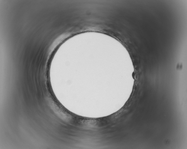 X0000112840104200910021116