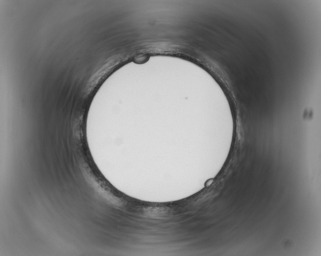 X0000112840105200910021116