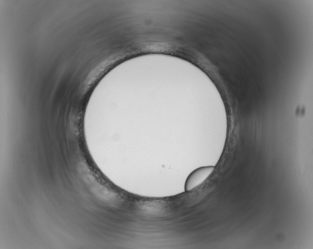 X0000112840106200910021116