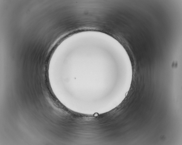 X0000112840108200910021116