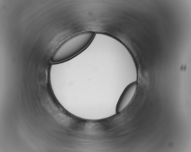 X0000112840109200910021116