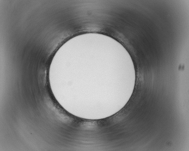 X0000112840110200910021116