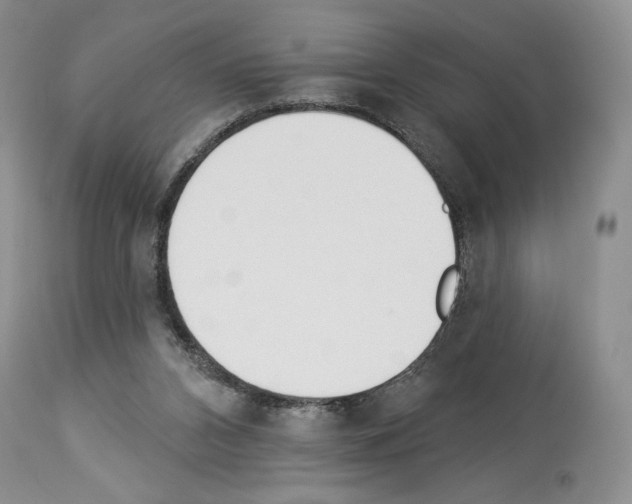 X0000112840112200910021116