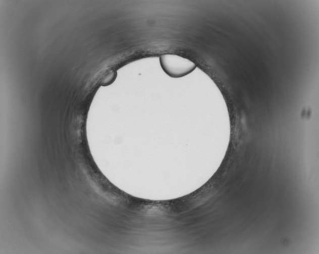 X0000112840115200910021116