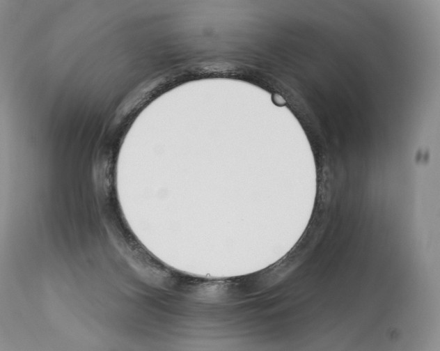 X0000112840116200910021116