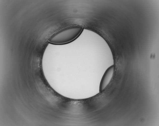 X0000112840117200910021116