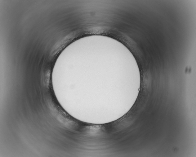 X0000112840118200910021116