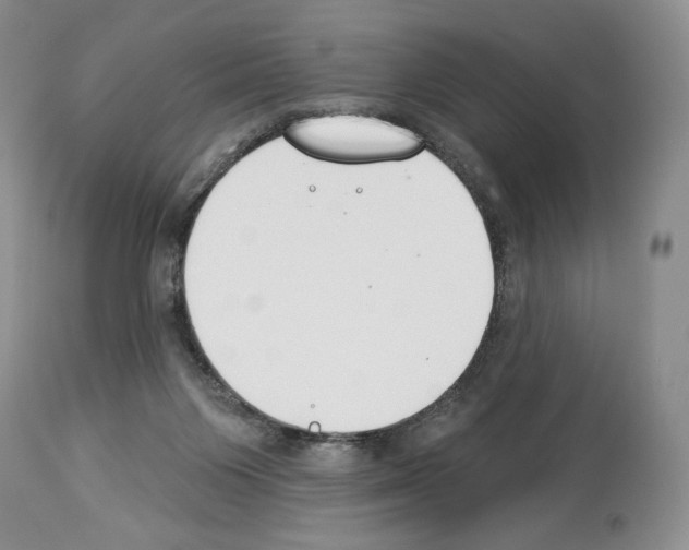 X0000112840119200910021116