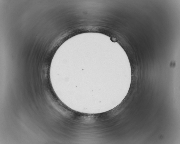 X0000112840120200910021116