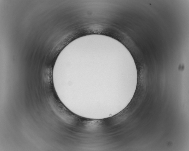 X0000112840122200910021116