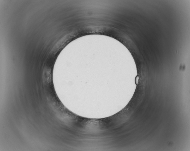 X0000112840123200910021116