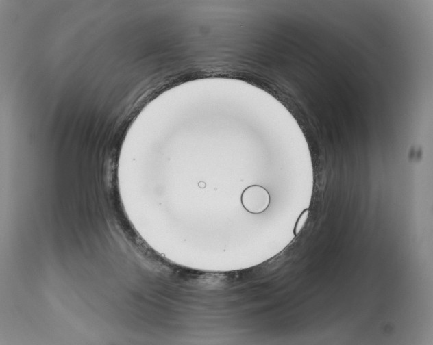 X0000112840124200910021116