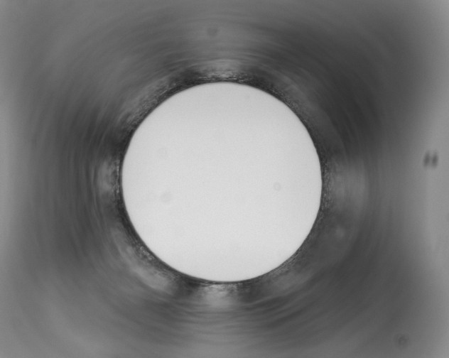 X0000112840126200910021116