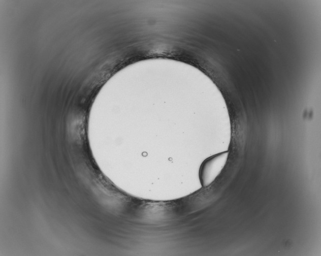 X0000112840127200910021116