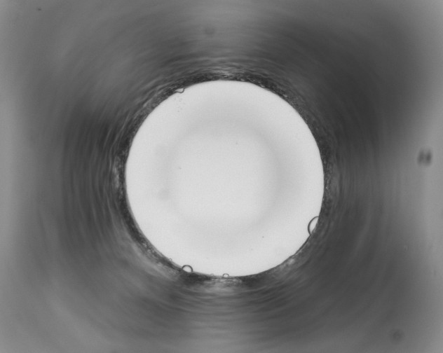 X0000112840128200910021116