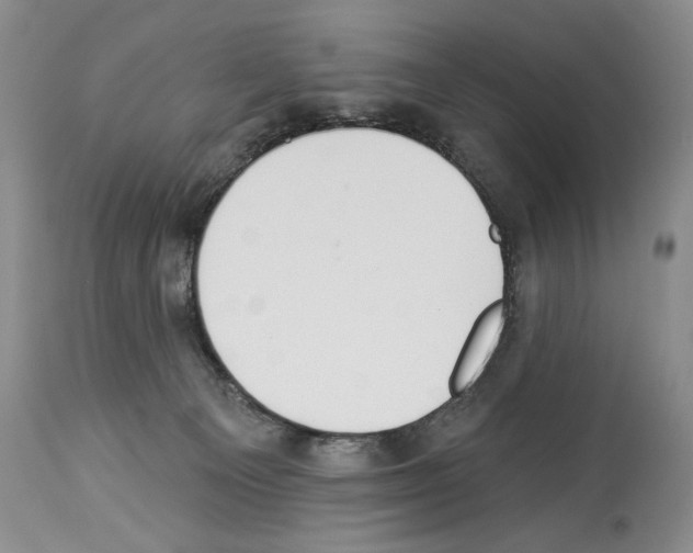 X0000112840129200910021116