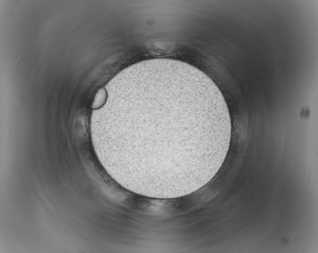 X0000112840130200910021116