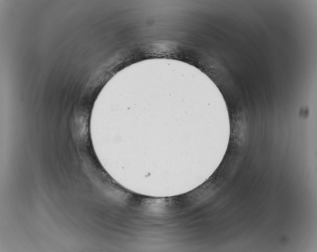 X0000112840131200910021116