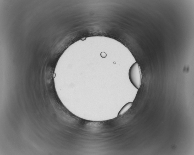 X0000112840133200910021116