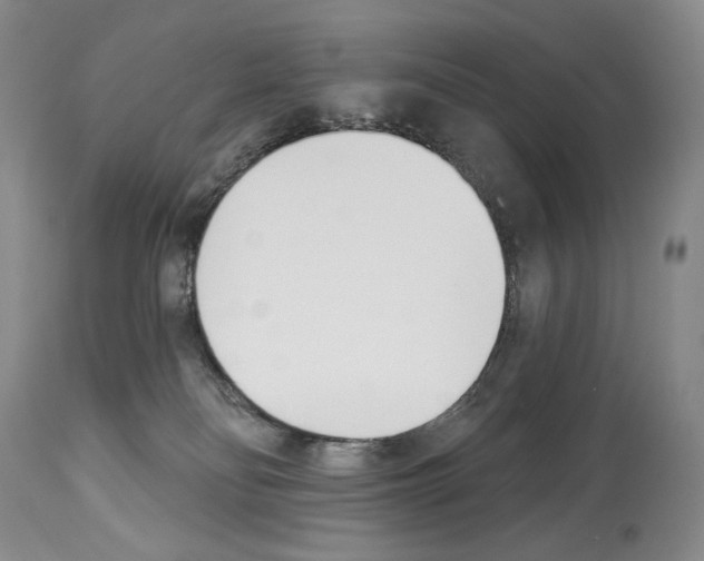 X0000112840134200910021116