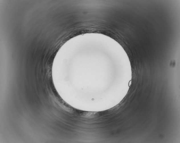 X0000112840136200910021116