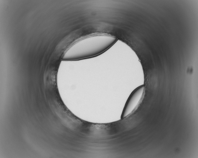 X0000112840137200910021116