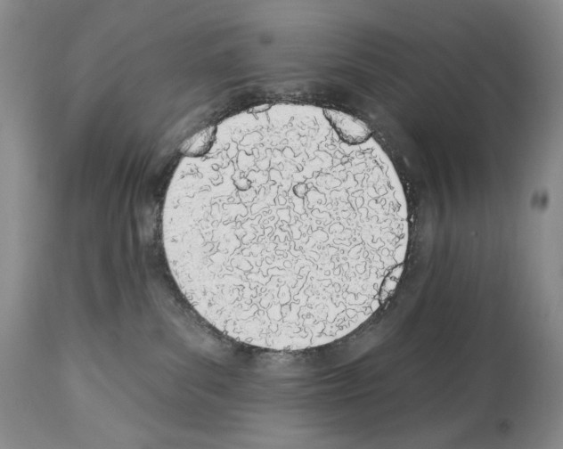 X0000112840139200910021116