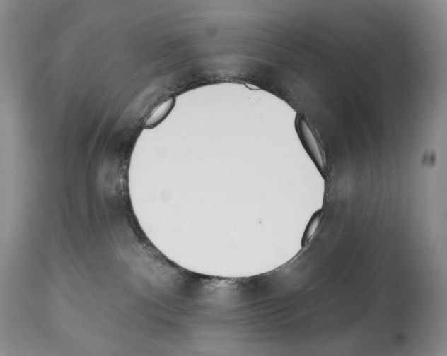 X0000112840140200910021116