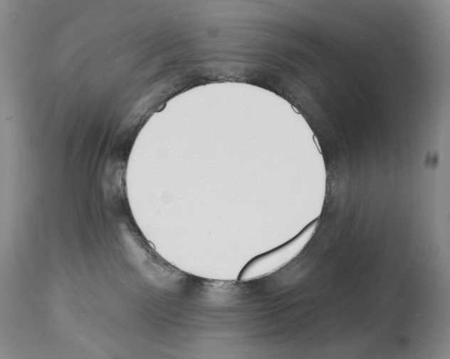 X0000112840141200910021116