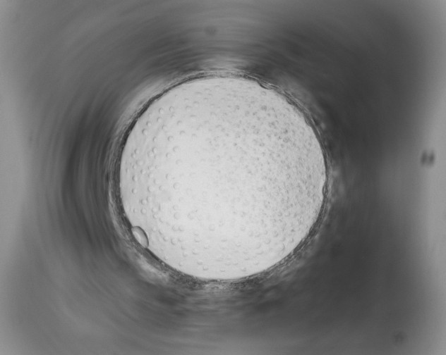 X0000112840145200910021115